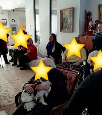 «Το κοινωφελές ίδρυμα “ΤΙΜΑ” και η “12 ΝΙΝΑ SERVICE DOGS” στη Διαμαντίδειο Στέγη» 