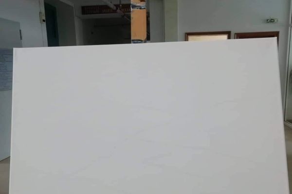 1246C95B9-69C3-8255-0AB4-327FDC6CD51A.jpg